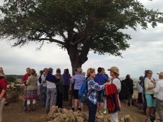 Urfa wishing tree 2